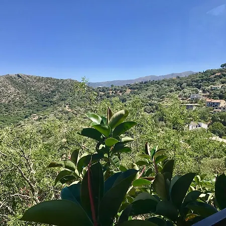 A Pasturella مونتايسلو