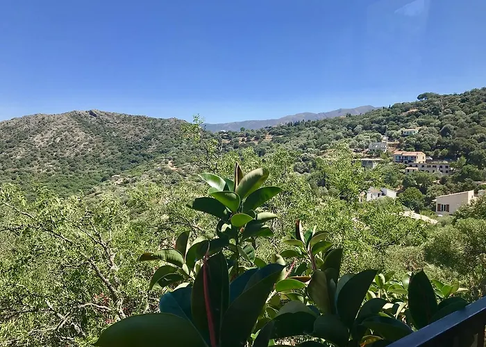 A Pasturella Monticello